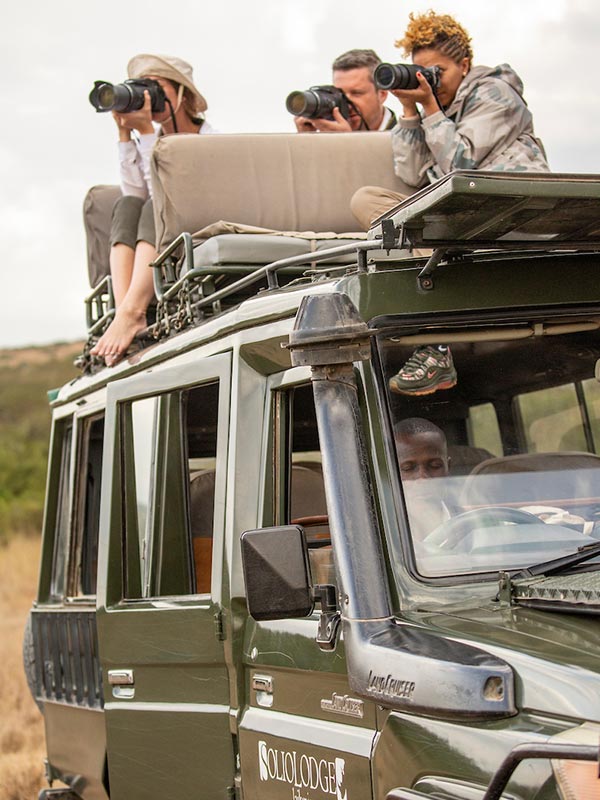 Taking wildlife photos on a private guided safari game drive